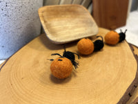 Bush Tucker Honey Ant