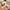 Coolamon Classroom Carpet (PRE ORDER) — alternative view of Coolamon bush tucker carpet