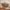 Coolamon Classroom Carpet - PRE ORDER