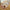 Coolamon Classroom Carpet - PRE ORDER