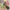 Coolamon Classroom Carpet (PRE ORDER) — fourth alternative view