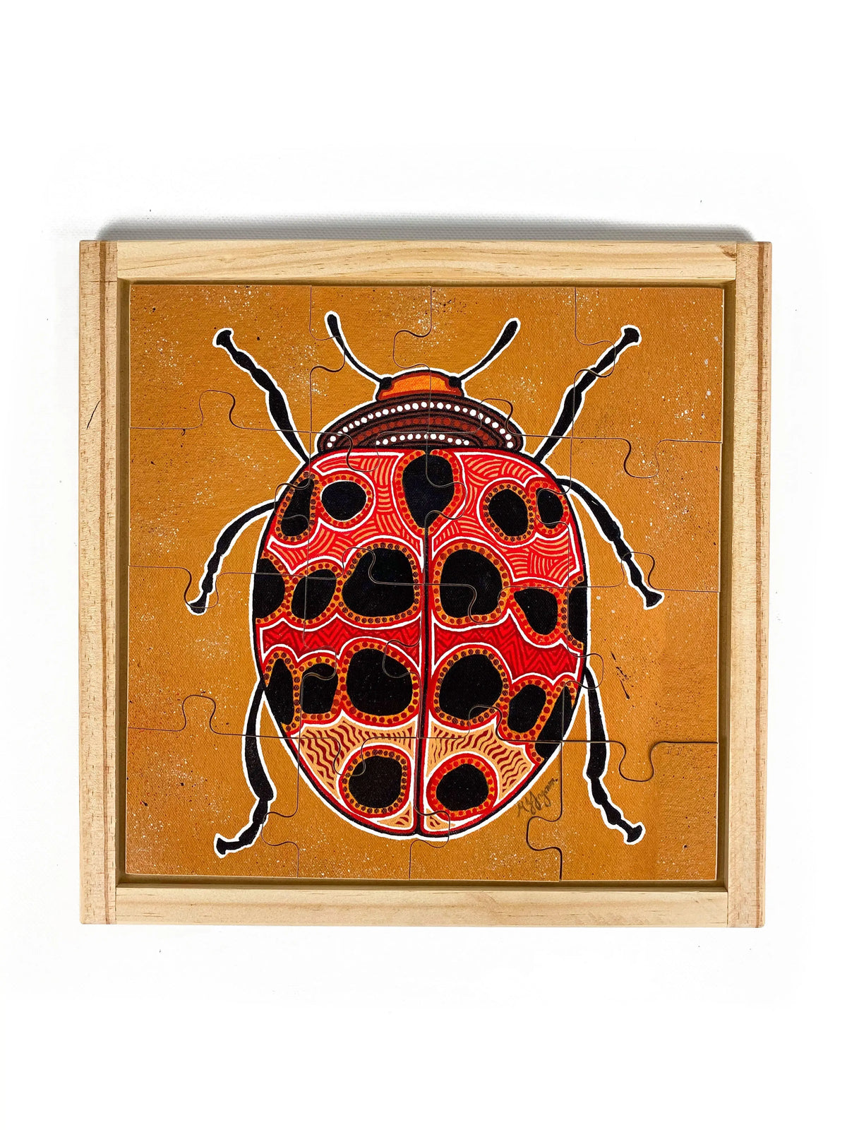 Aboriginal Insect Square Puzzles with FREE Posters – Education National
