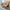 Aboriginal Symbols Learning Table