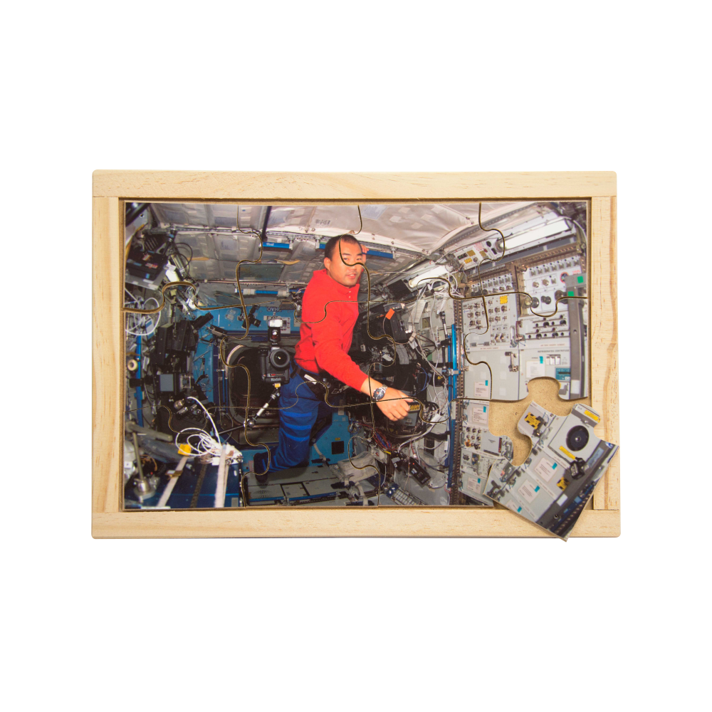 Astronaut Pilot Puzzle