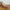 Boomerang Rocker - Pre Order