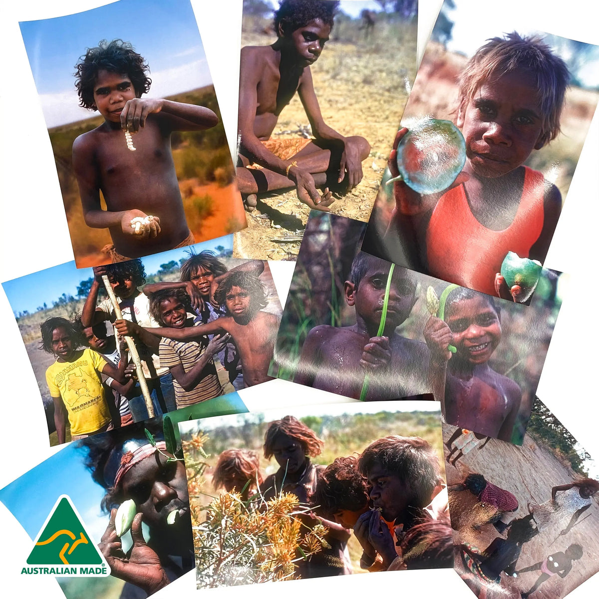 Bush Tucker Poster Pack — educational classroom resource — Australian-made by Education National, ages 3+