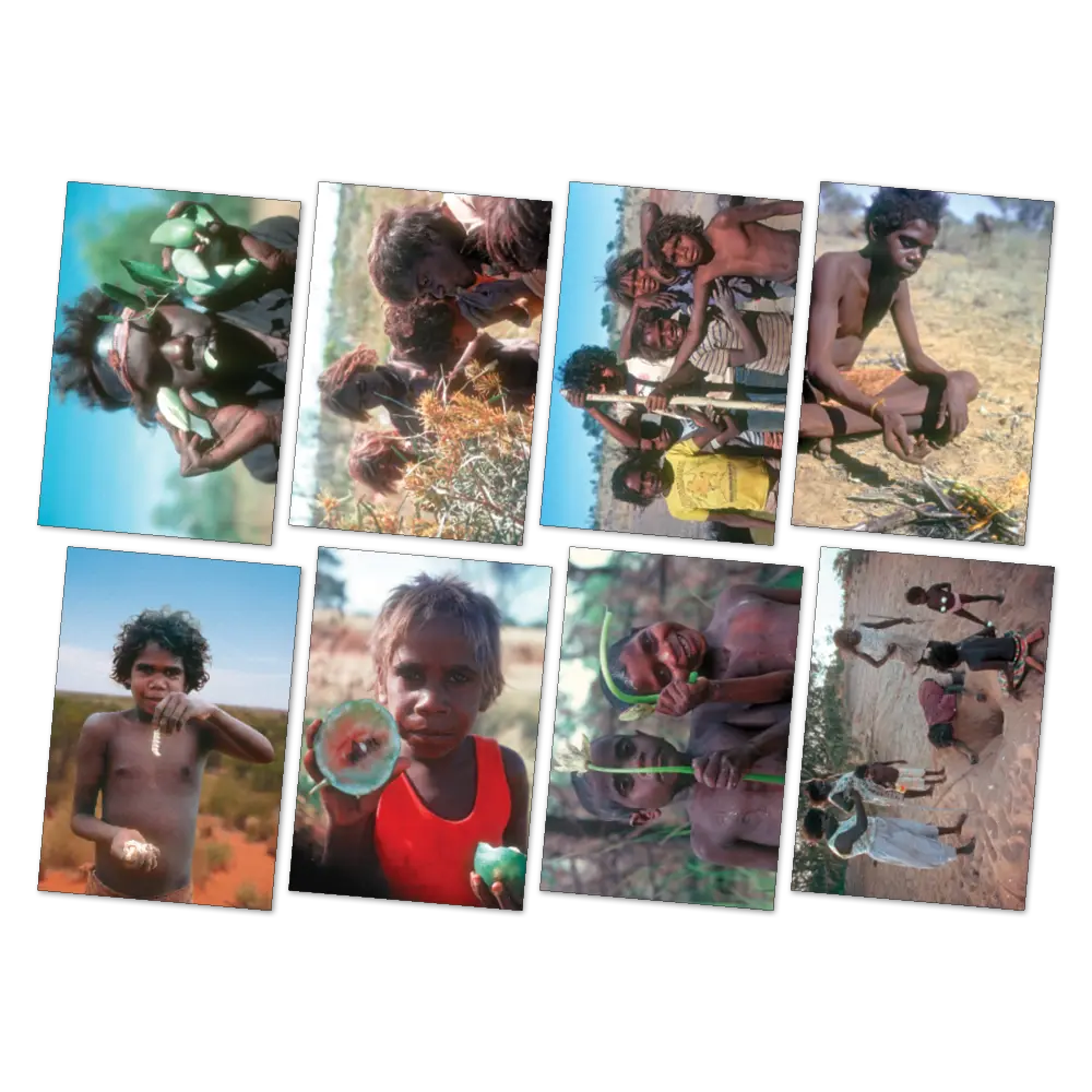 Bush Tucker Poster Pack — alternative view