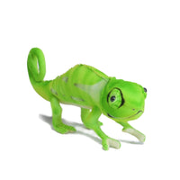 Chameleon 42cm