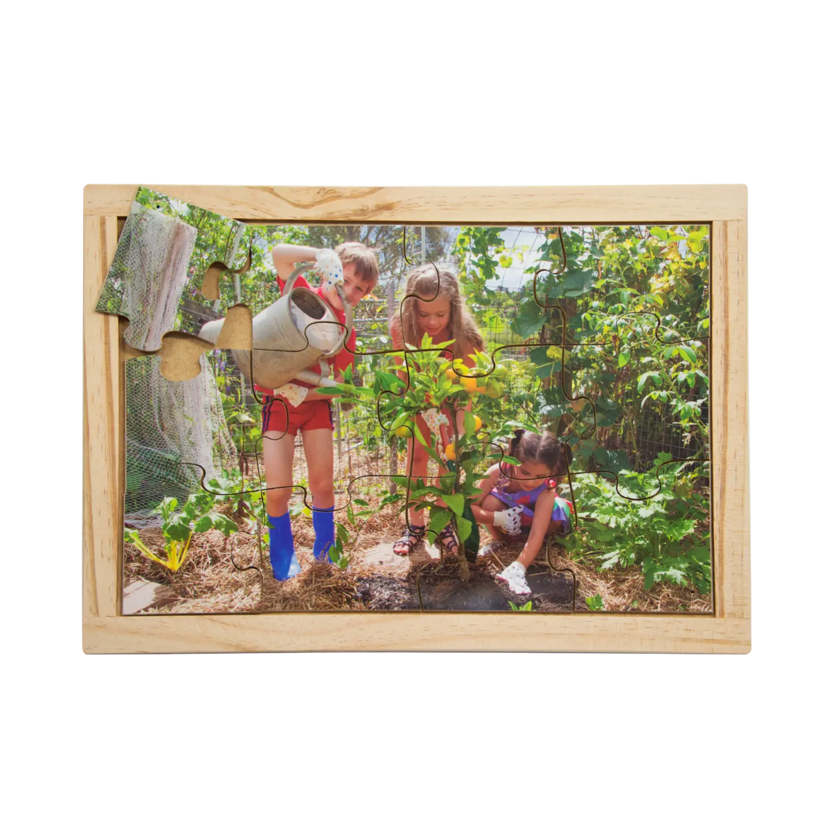 Citrus Tree Puzzle — hand-painted wooden jigsaw puzzle — Australian-made early learning resource, ages 3+