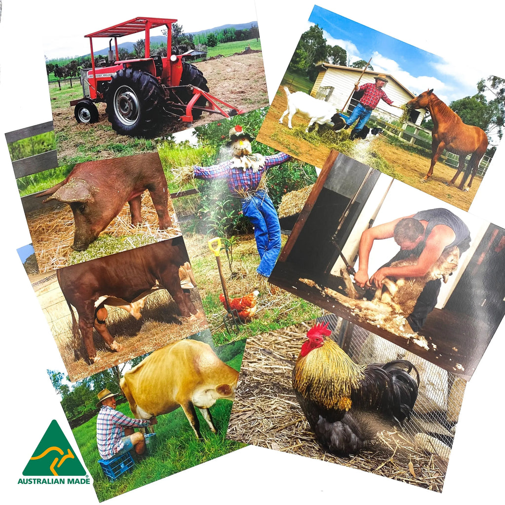 Farm Poster Pack — educational classroom resource — Australian-made by Education National, ages 3+