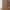 Indigenous Goanna Bookshelf — alternative view of goanna bookshelf