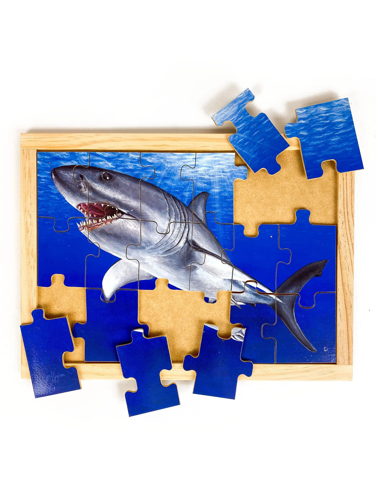 Great White Shark Puzzle — alternative view