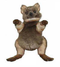 Quokka Puppet