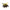 Honey Bee 22cm L