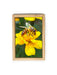 Garden Bugs Puzzles with FREE Posters