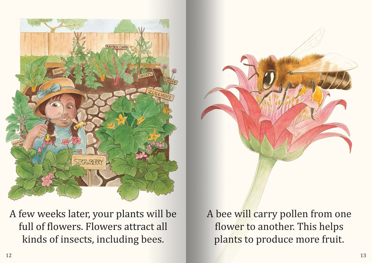 How Seeds Grow Big Book — additional view
