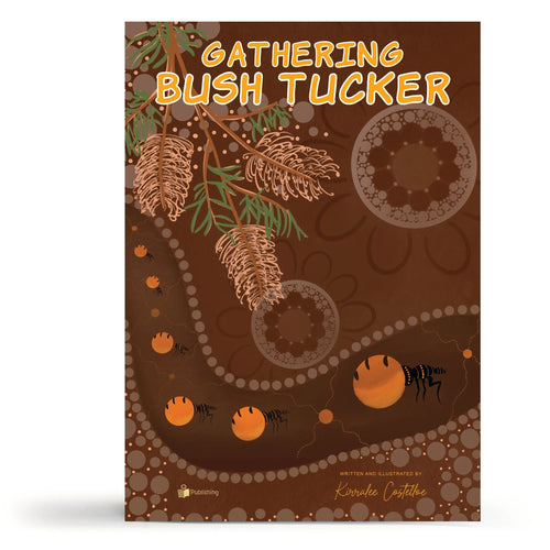 Indigenous Dreaming Big Books Pack — view of pack contents
