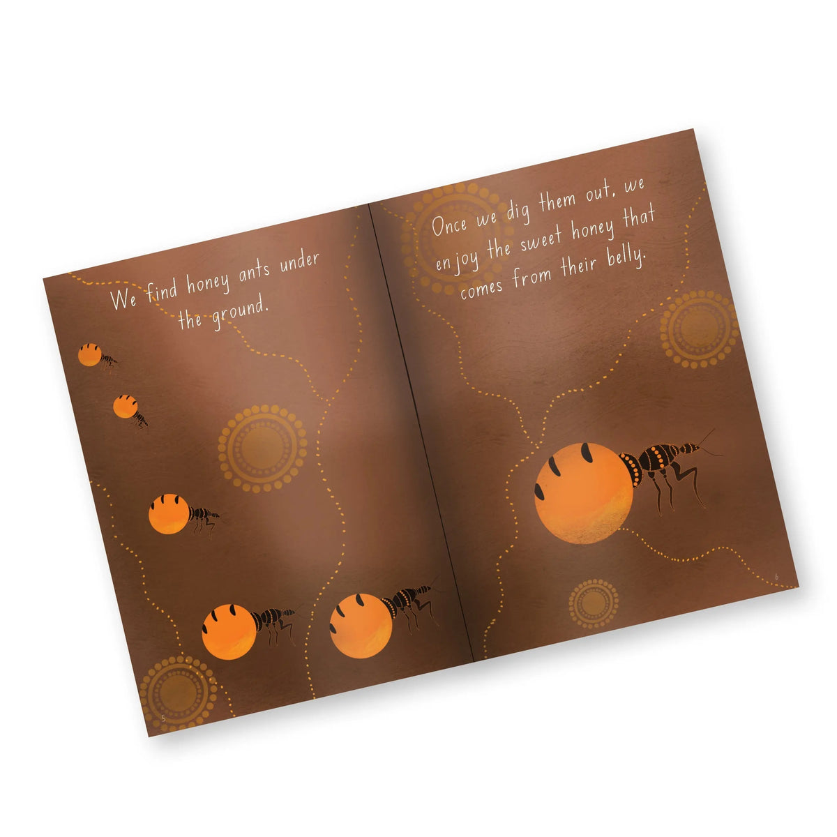 Indigenous Dreaming Big Books Pack — interior spread view