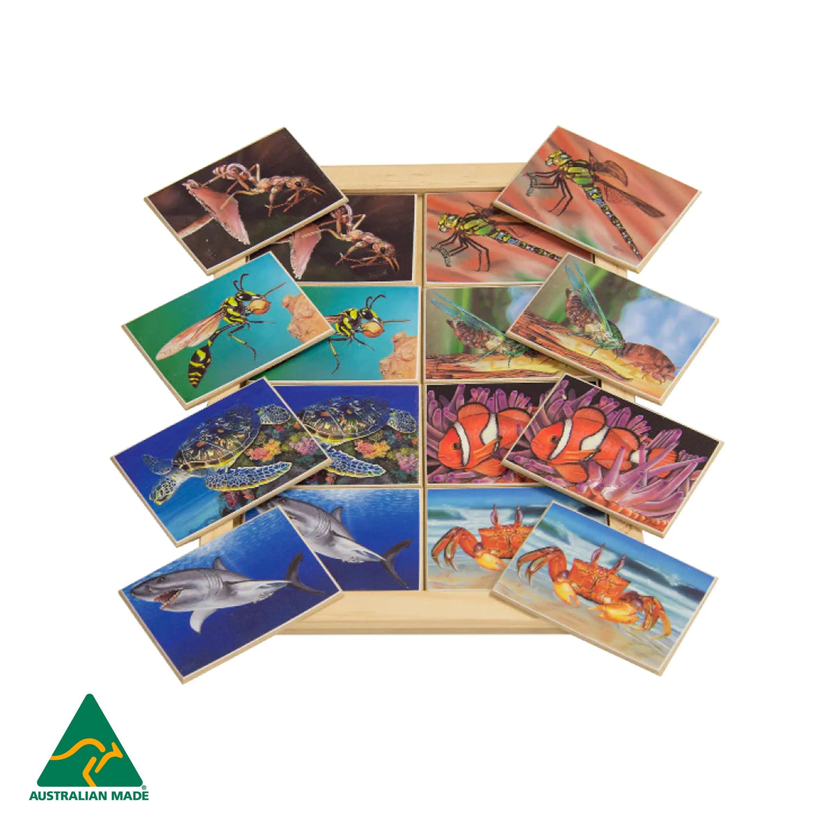 Insect and Sea Creatures Memory Game — Australian-made memory matching game for early childhood classrooms