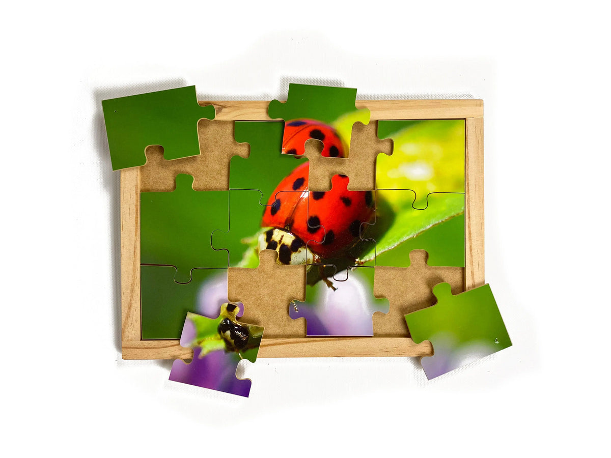 Garden Bugs Set — Lady Beetle puzzle alternative view