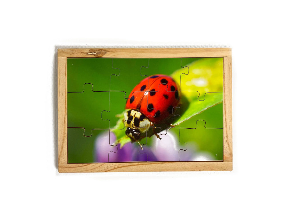 Lady Beetle Puzzle — hand-painted wooden jigsaw puzzle — Australian-made early learning resource, ages 3+