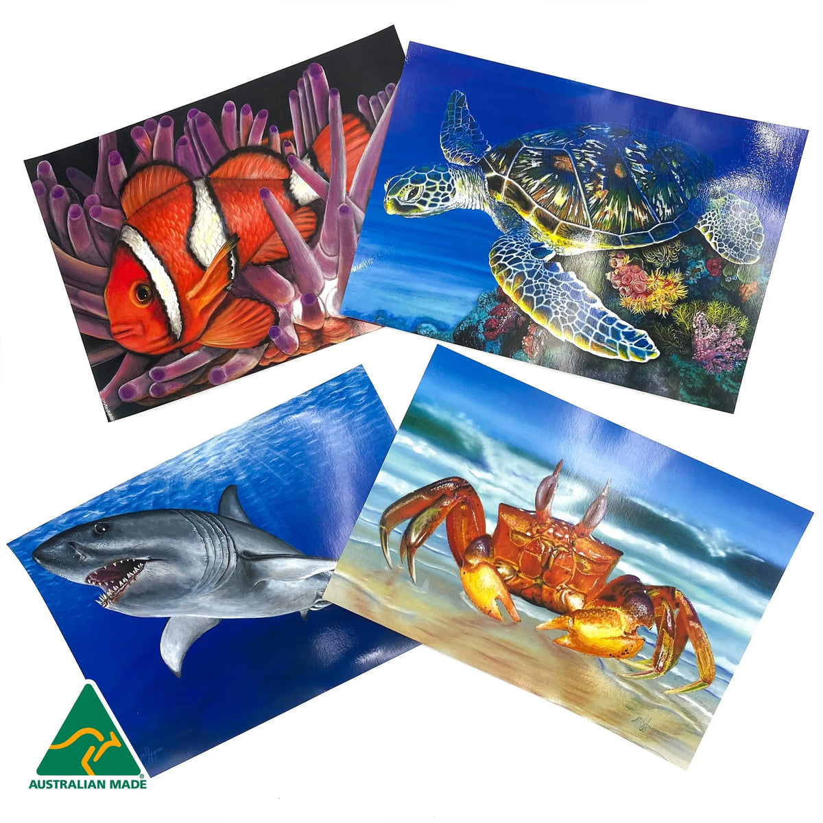 Large Sea Creatures Poster Pack — educational classroom resource — Australian-made by Education National, ages 3+