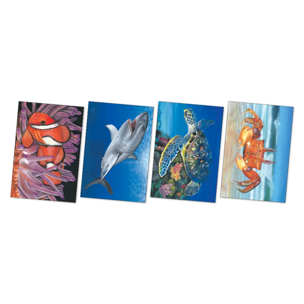 Large Sea Creatures Poster Pack — alternative view