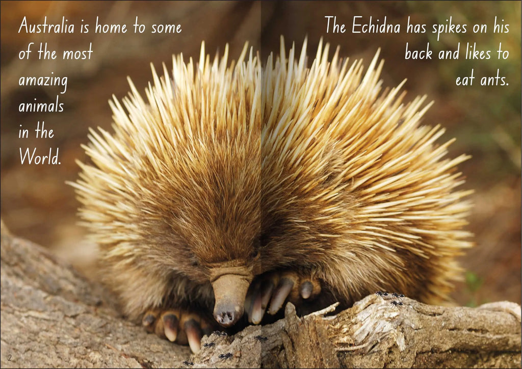 Let's Learn about Australian Animals Big Book — additional view