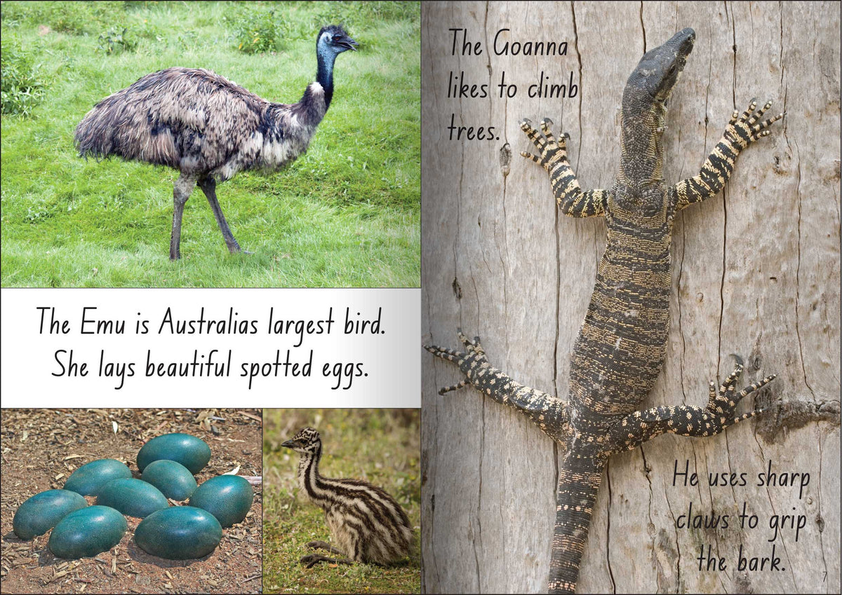 Let's Learn about Australian Animals Big Book — alternative view