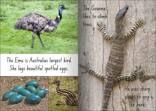 Let's Learn about Australian Animals Big Book — alternative view