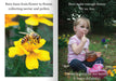 Let's Learn about Bees Big Book