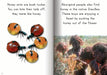 Let's Learn about Bush Tucker Big Book