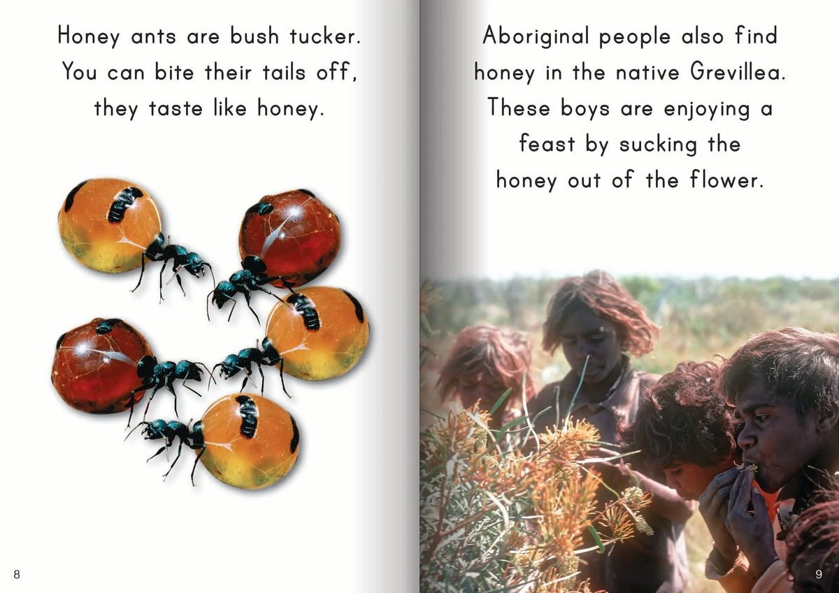 Let's Learn about Bush Tucker Big Book — alternative view