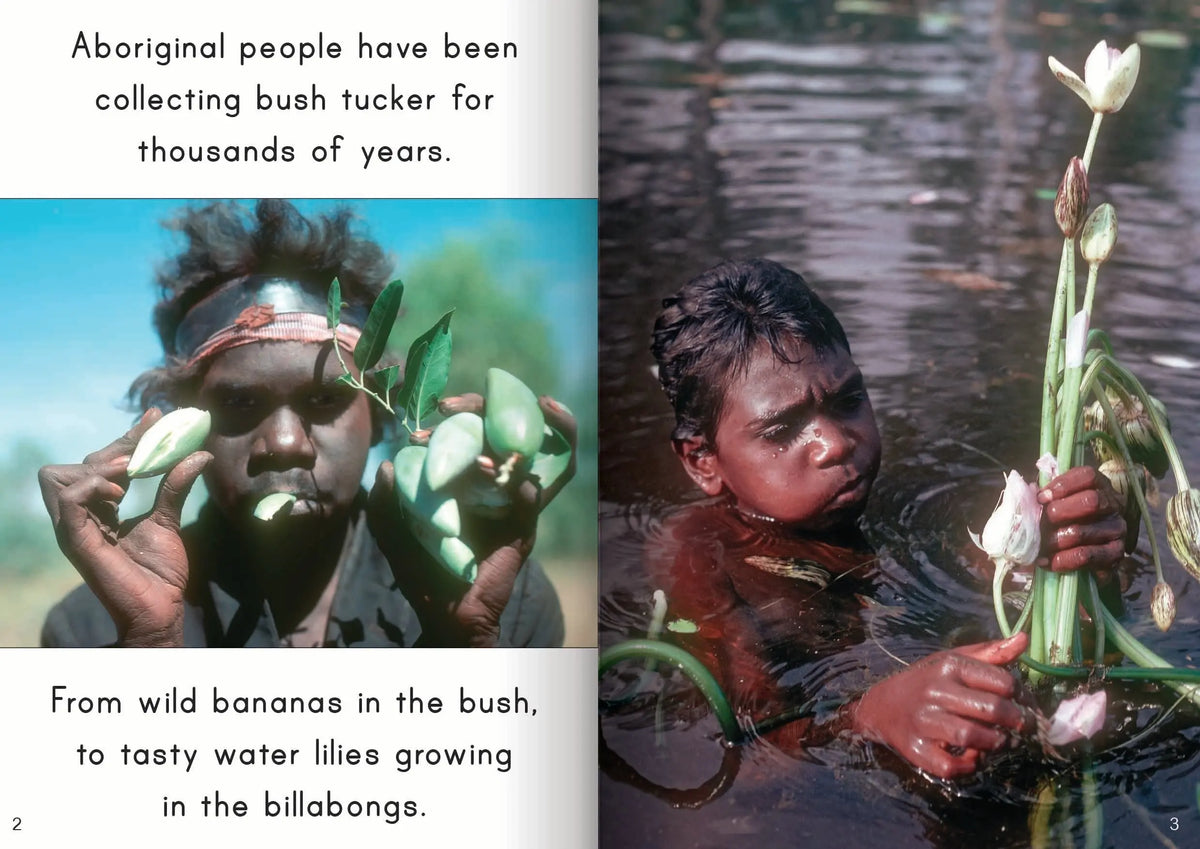Let's Learn about Bush Tucker Big Book — additional view