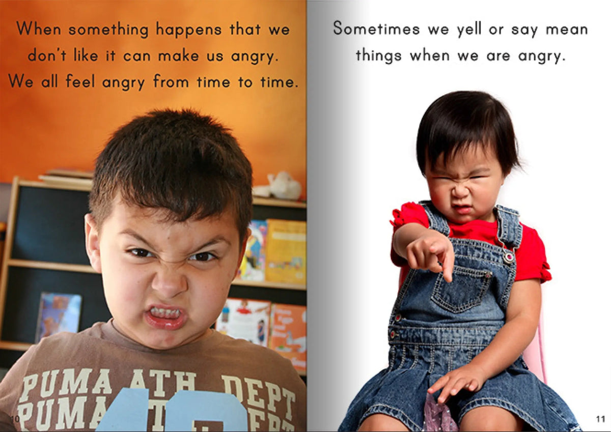 Let's Learn about Feelings and Emotions Big Book — additional view
