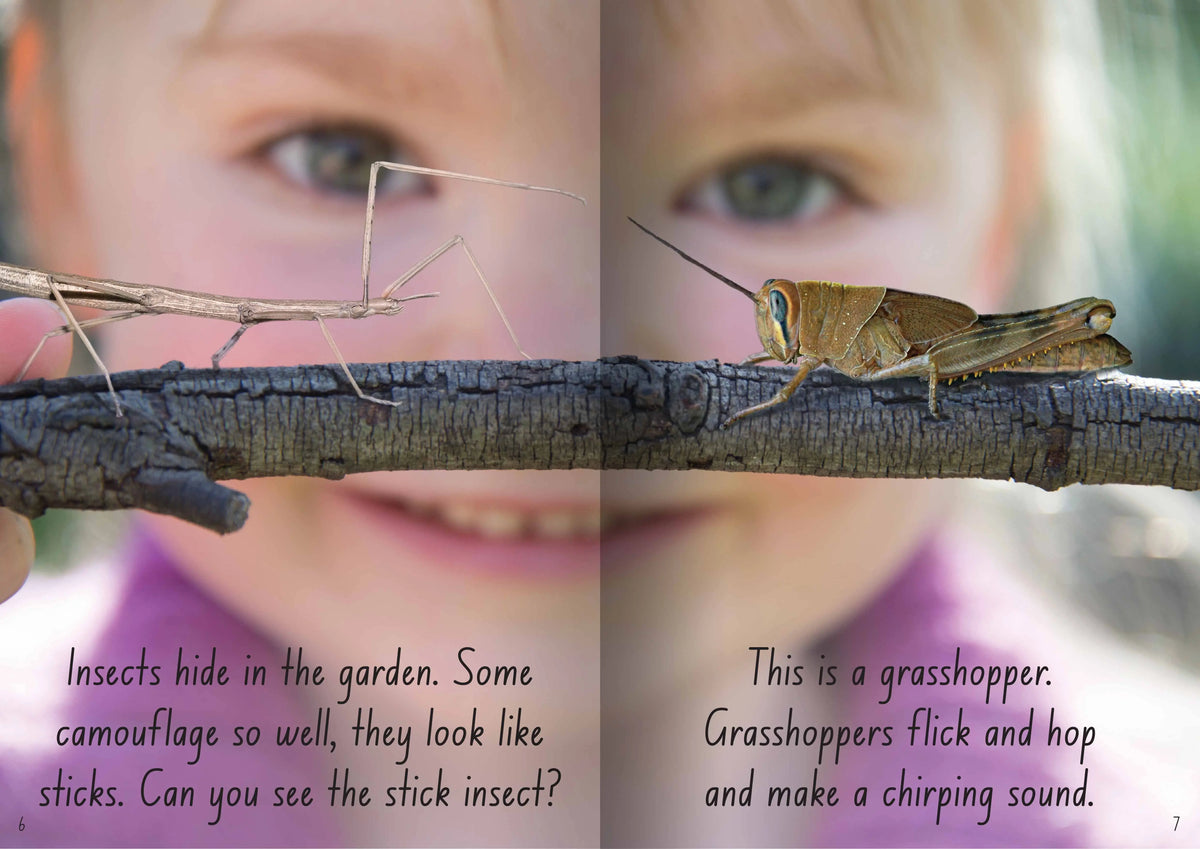 Let's Learn about Insects Big Book — additional view