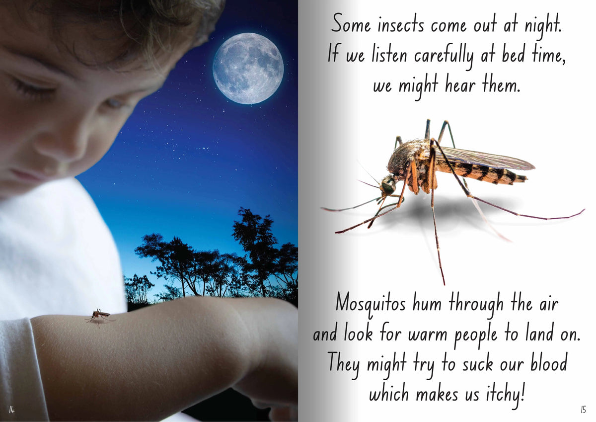 Let's Learn about Insects Big Book — view 4
