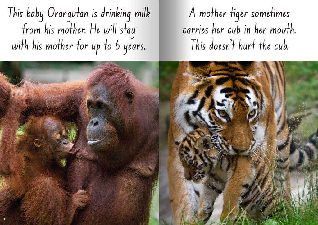 Let's Learn about Mums and Babies Big Book — alternative view