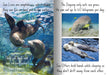 Let's Learn about Sea Creatures Big Book