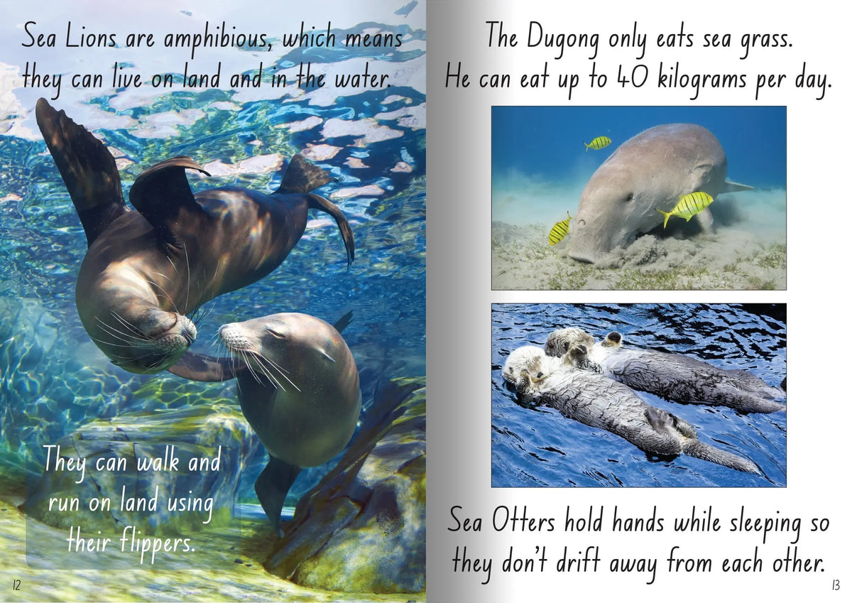 Let's Learn about Sea Creatures Big Book — alternative view