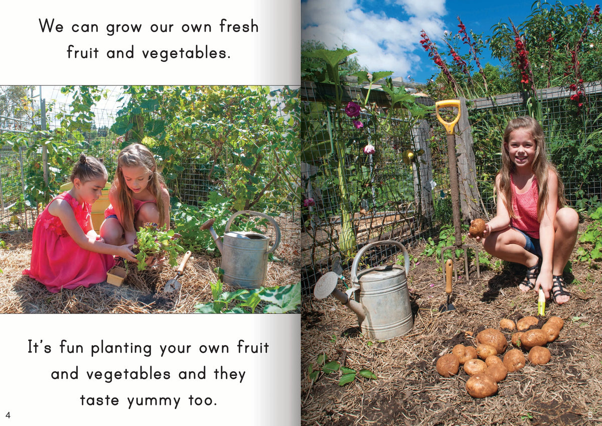 Let's Learn about Sustainable Living Big Book — alternative view