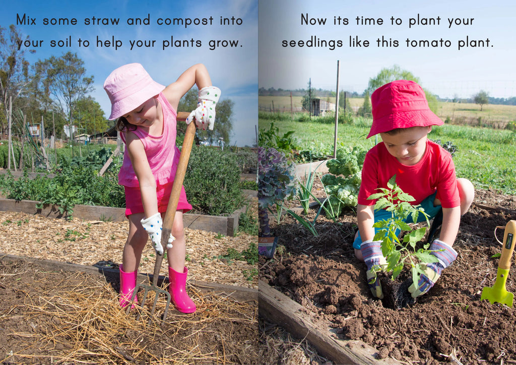 Let's Learn about Vegetable Gardens Big Book — additional view
