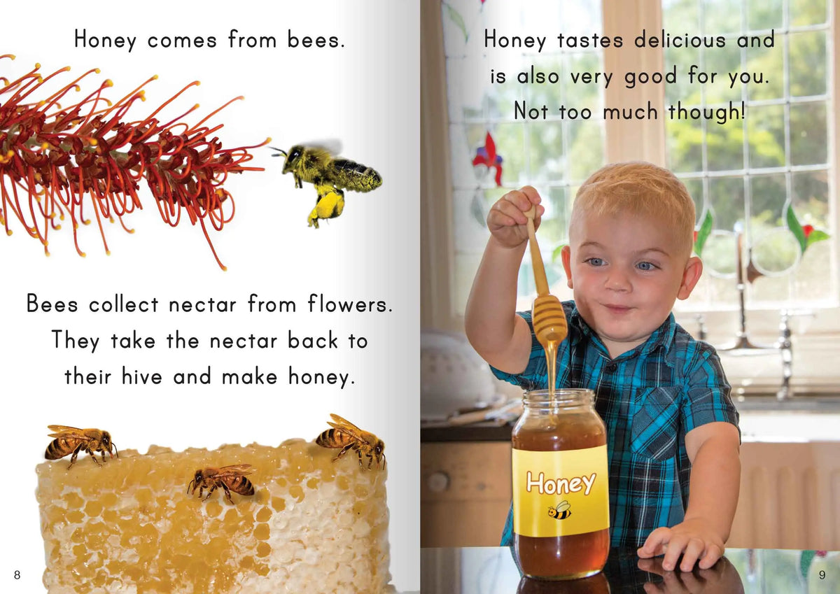 Let's Learn about where our food comes from Big Book — additional view