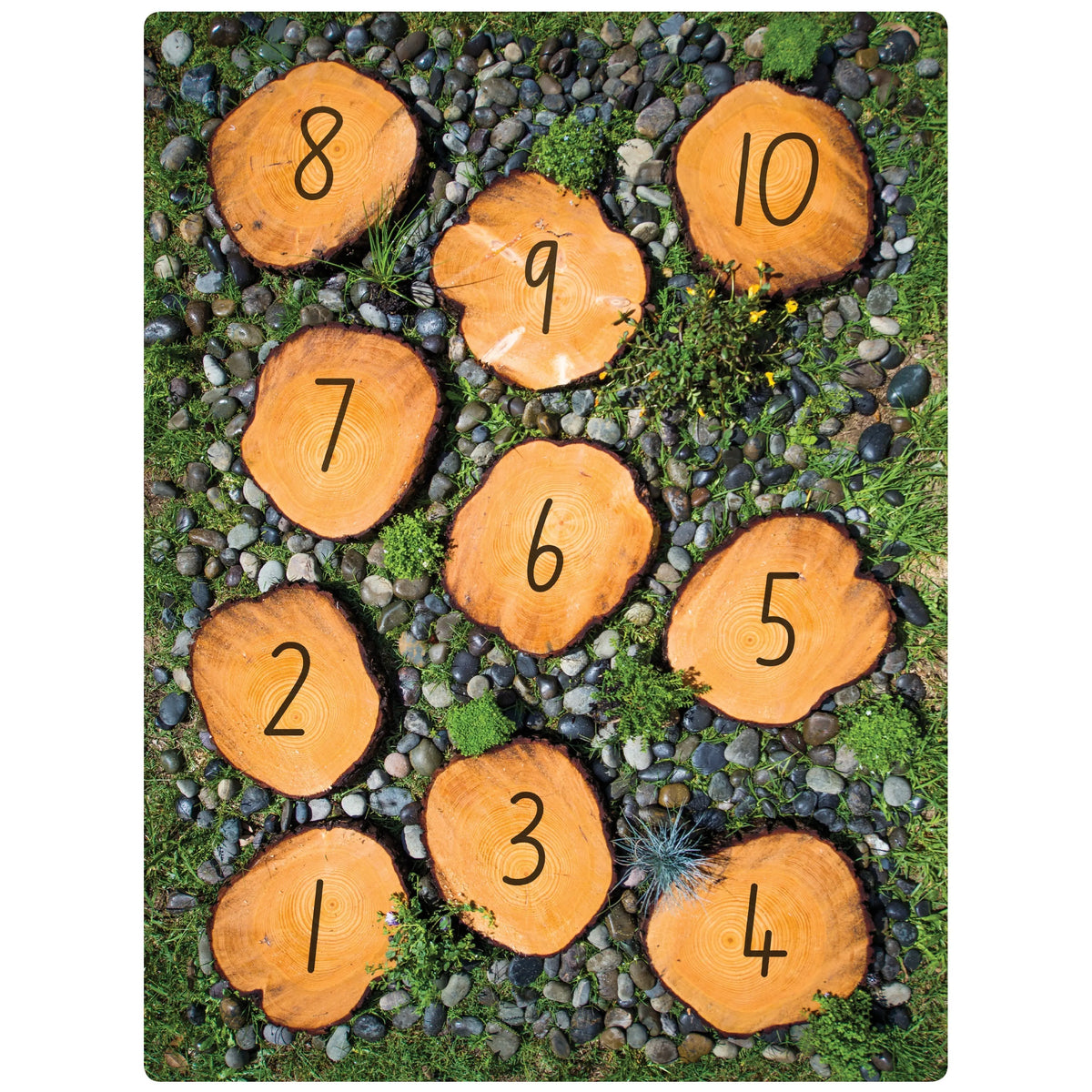 Nature Numbers Rug — additional view