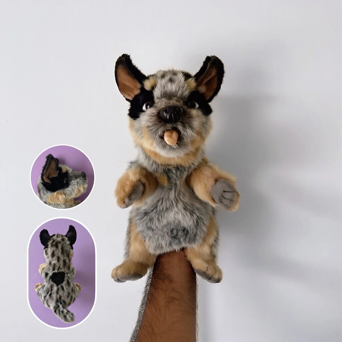 Hansa Puppets — eleventh alternative view