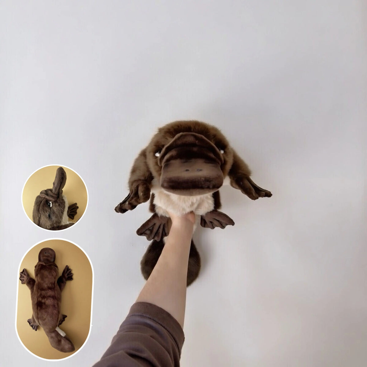 Hansa Puppets CA Australia