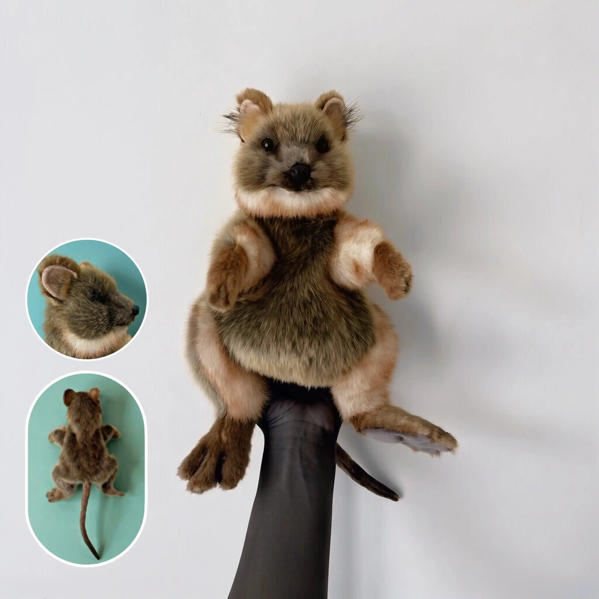Hansa Puppets CA Australia