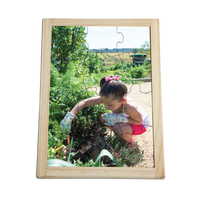 Picking Carrots Puzzle