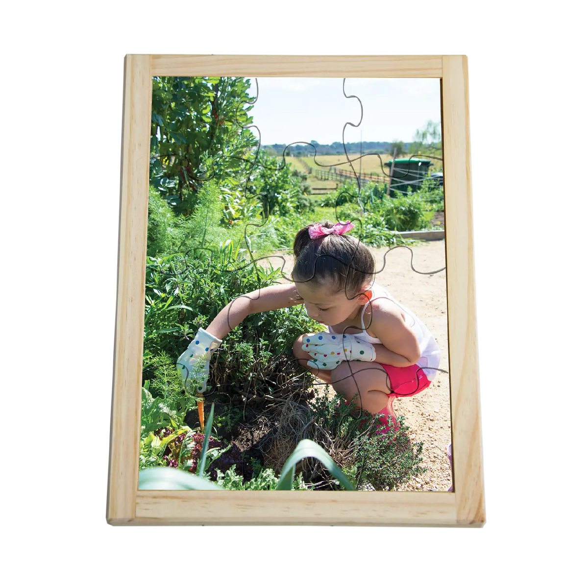 Picking Carrots Puzzle — hand-painted wooden jigsaw puzzle — Australian-made sustainability learning resource
