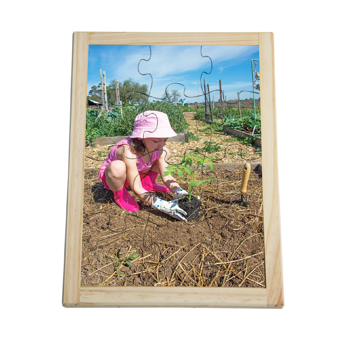 Planting_Seedling_Puzzle